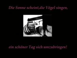 ext. Bild